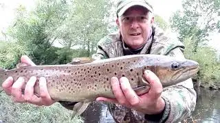 River Wear Trout Fishing 26 09 2020