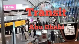 How to Transit at New Abu Dhabi Zayed Airport #airport #travel #shortvideo #airporttransfer