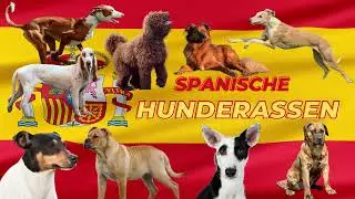 Spanische Hunderassen