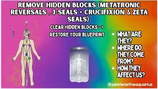 Remove J-Seals & Metatronic Reversals | Tier One Breakdown 