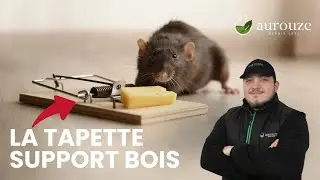 La tapette sur support bois : la méthode imparable pour éliminer les rongeurs ! 🐭