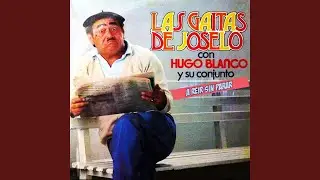 Los Gays (feat. Hugo Blanco y su Conjunto)