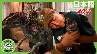 【40分】恐竜ＶＳネコ | ティラノサウルス牧場 | 恐竜番組 | 子供向け | T-Rex Ranch