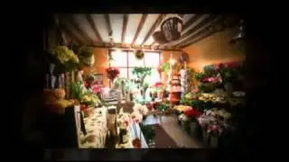 Botanical - Premier Sevenoaks Florist for same day flower delivery in and around Sevenoaks