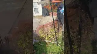 Amazing Pavers Cleaning 🧼 follow @SqueakyTsPressureCleaning  #pressurewash #pressurewashhelp