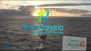 spegc@youshow.com.es - @Youshow
