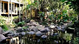 Creek Lodges: Holiday Accommodation On Mount Tamborine, Gold Coast Hinterland | Cedar Creek Lodges