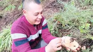 捡菌子也是需要技术的，我就是那种瘾大技术差的，今天收获不错