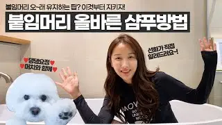 붙임머리 오래 유지하는 꿀팁? 이것부터 지키자!👌 | 선화가 직접 알려주는 붙임머리 올바른 샴푸방법! 🙋‍♀💖 | 특별게스트 댕댕요정 머치와 함께해요🐶❤