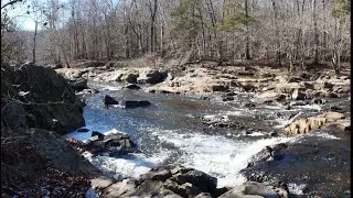 Buckquarter Creek Trail at Eno River State Park in January before big storm in 4K