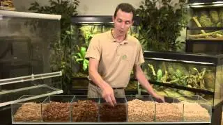 Les Conseils de La Ferme Tropicale n°3 : Les substrats