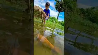 Village little boy catching fish by polo #ruralfishing #bigfish #shorts