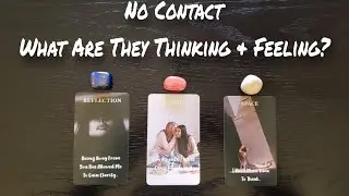😶💌 No Contact | What Are They Thinking & Feeling About You & The Connection? Pick A Card Reading 