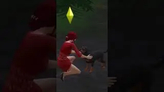 How to find and adopt stray pet in The Sims 4