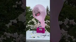 Pink Crazy Balloon Pop #ASMR #gamktv #balloon #reverse  #funny #poppballons #foryou #satisfying