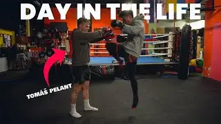 pov: prvn&iacute; z&aacute;pas ti řekne pravdu o tv&eacute; kari&eacute;ře w/ Tom&aacute;&scaron; Pelant 🥊