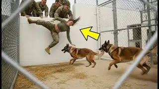 “Die Now, Bitch — They Threw Her Into the K9 Pit at Coronado… Then the Dog Recognized Her Blood”