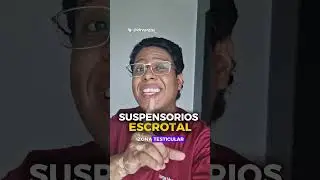 ✨️SUSPENSORIO TESTICULAR✨️