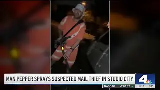 Pepper spray confrontation with suspected mail thief caught on video