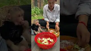 Cute Monkey Helps Mom Cook A Nice Meal.