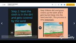 Ms. Martin's Class Noah S, Romani N, August W   How an Animal Becomes a Fossil