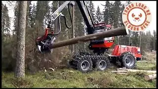 Collection of the best and most attractive wood sawing moments #woodworking #woodsawing