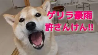 【悩み】雨。それは永遠のテーマ