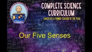 Our Five Senses