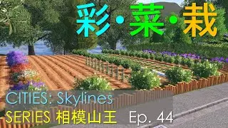 令和の妄想都市・相模山王 Ep.44 ー Cities: Skylines