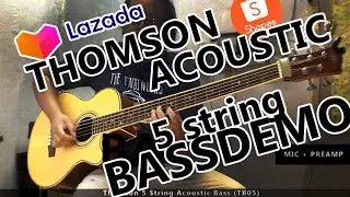 Thomson Acoustic 5 String Bass Demo