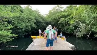 The Sacred  Nusantara: Mangrove Forest & Bird Watch, Alor - Indonesia