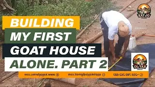 Building My First Goat House Alone Part 2 | ep5. #goats #goatfarming