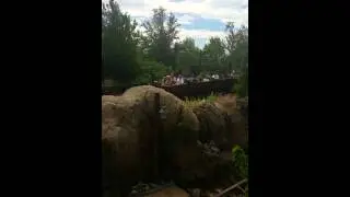 Jewel rode snow white roller coaster