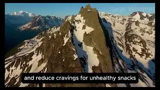 7 Fruits Every Senior Should Eat Today!