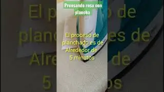 Prensando una  rosa🌹en casa 🏡 con la plancha en 5️⃣ minutos #floresprensadas #diy #flowerpressed