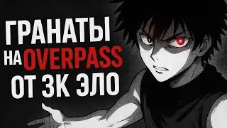 ГРАНАТЫ НА ОВЕРПАСЕ ОТ 3000 ЭЛО! (Для оболтусов из моей команды)