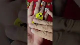 New Guitar Picks From Concerts in 2023