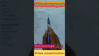 urine routine examination test report