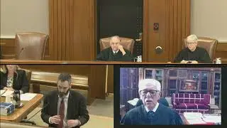 Судья задает сторонам вопросы о возможности пересмотра дела по усмотрению суда в сложном иммиграц...