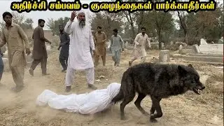 சற்று முன் நடந்த அதிர்ச்சி சம்பவம் நாட்டையே உலுக்கியது-உலகையே அதிரவைத்தது -அதிர்ச்சி வீடியோ| Story