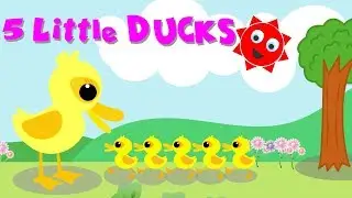 5 LITTLE DUCKS | POPULAR NURSERY RHYMES | FIVE LITTLE DUCKS LYRICS