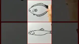 Which fish do you like better