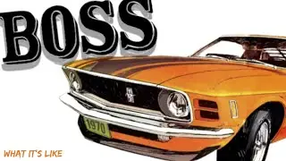 1970 Mustang boss 302 ￼