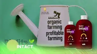 Biofit | INTACT | Bio-Pesticide | for Sucking Pest Control | Eco-Friendly | Netsurf