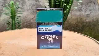 Review CAMEL 🐪🐪 intense blue