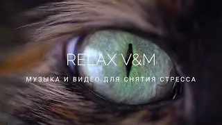 Музыка и видео для снятия стресса🌿 Relax music and video for stress relief🌿