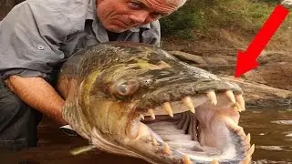 World's Most Terrifying Fish