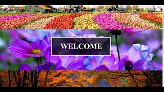 How to Change Background Image on Scroll using HTML and CSS