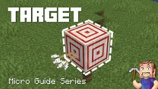 Target - Minecraft Micro Guide