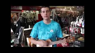 Sam Ash Music Store (example ad)